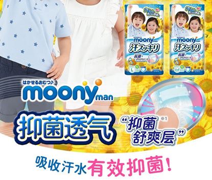 Picture of PAPER DIAPER ( L SIZE -MOONY )