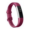 Picture of Fitbit Alta HR 心率腕带   L