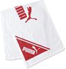 Picture of Puma 彪马 训练运动毛巾 A ( 90 x 35 cm ) 869248 [ 不分男女 ]
